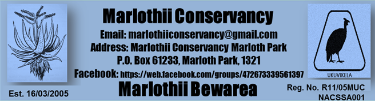 Marlothii Conservancy. Email: marlothiiconservancy@gmail.com Address: Marlothii Conservancy Marloth Park P.O Box 61233, Marloth Park, 1321